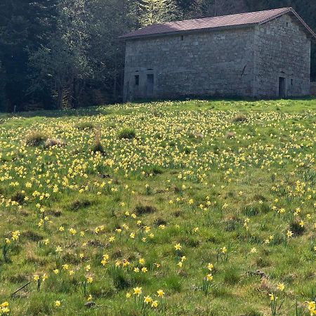 Gite " Oree Des Bois" Vertolaye Bagian luar foto