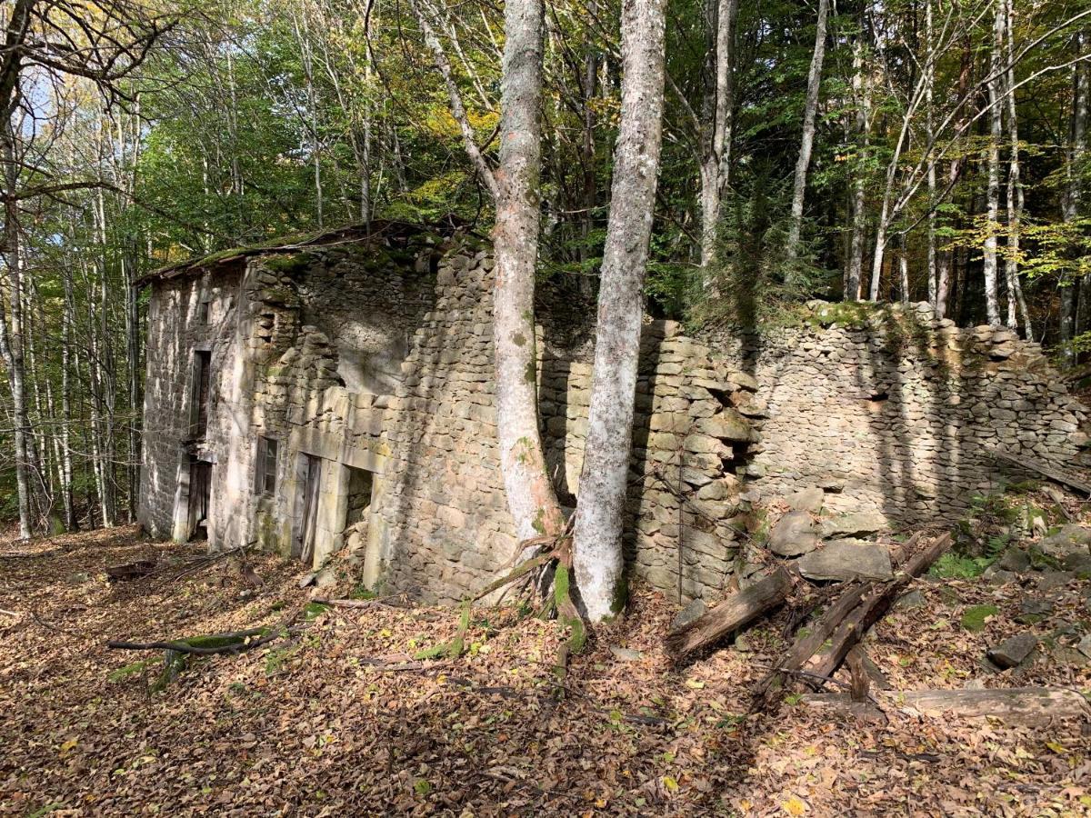 Gite " Oree Des Bois" Vertolaye Bagian luar foto