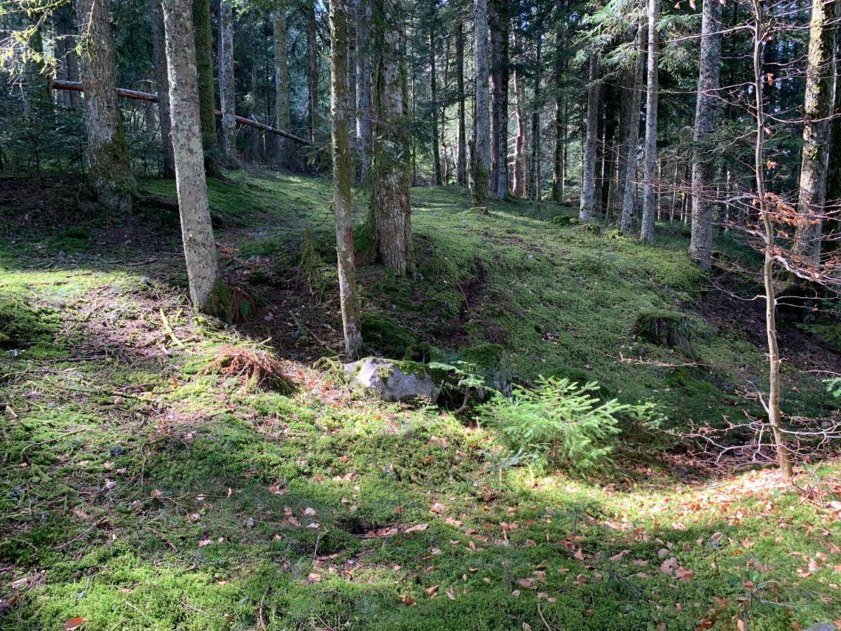 Gite " Oree Des Bois" Vertolaye Bagian luar foto