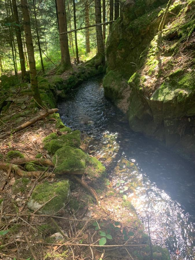 Gite " Oree Des Bois" Vertolaye Bagian luar foto