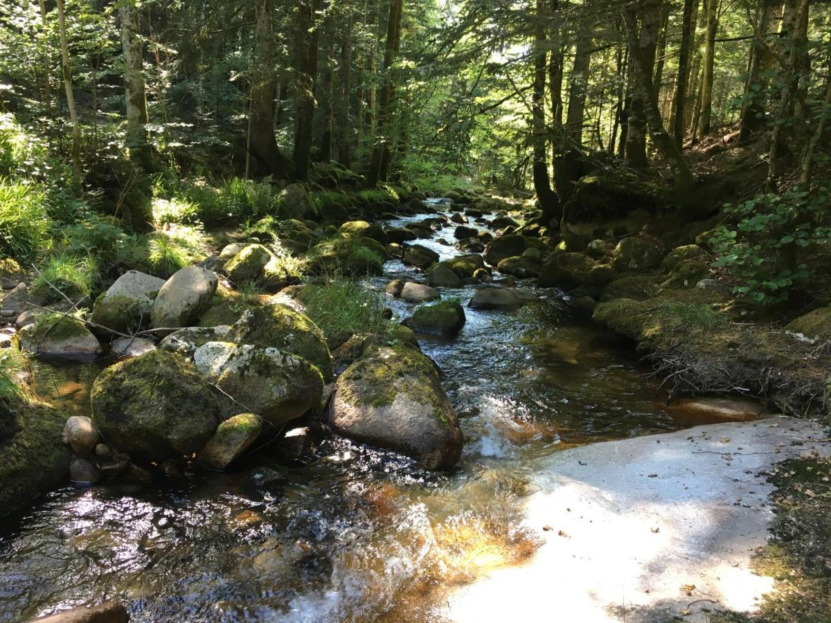 Gite " Oree Des Bois" Vertolaye Bagian luar foto