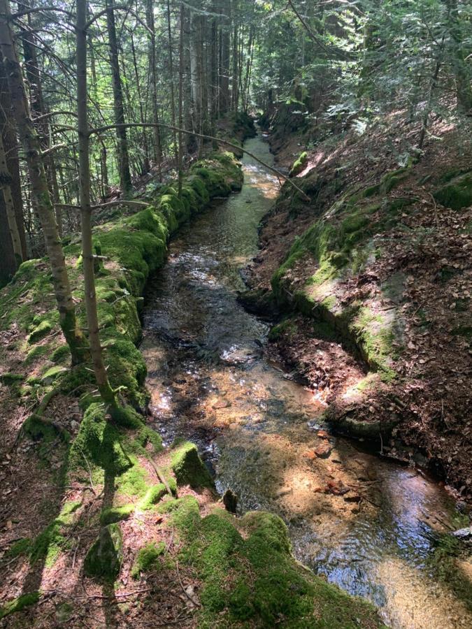 Gite " Oree Des Bois" Vertolaye Bagian luar foto