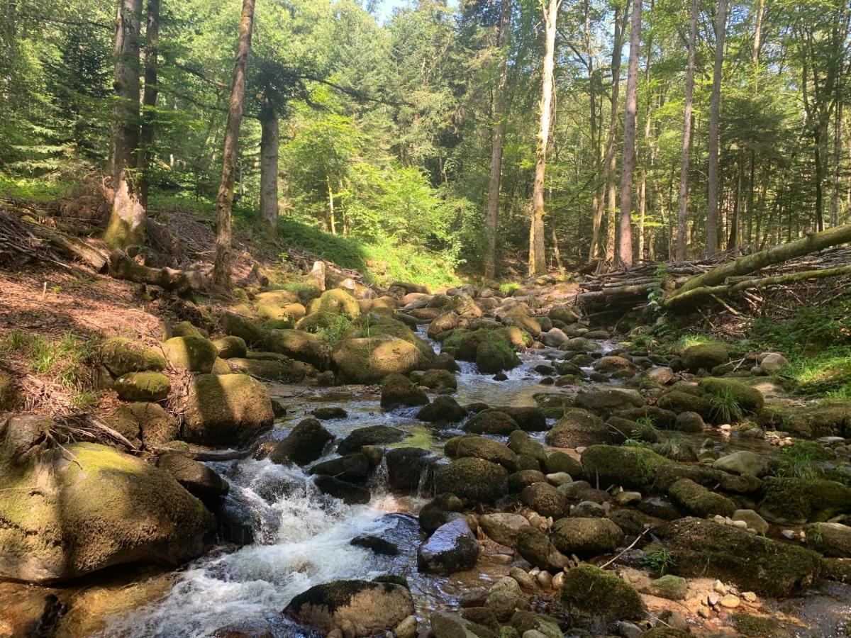 Gite " Oree Des Bois" Vertolaye Bagian luar foto