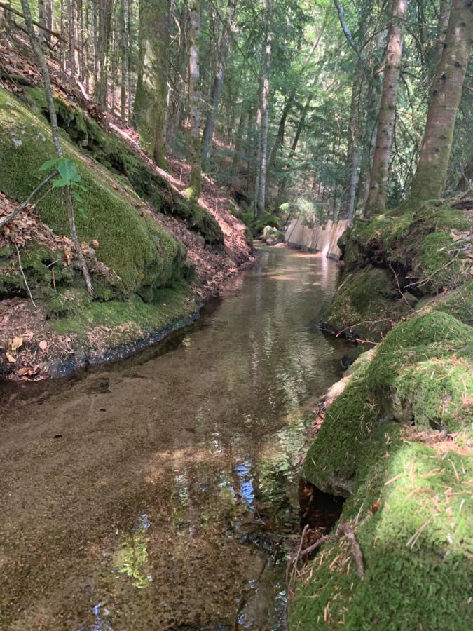 Gite " Oree Des Bois" Vertolaye Bagian luar foto