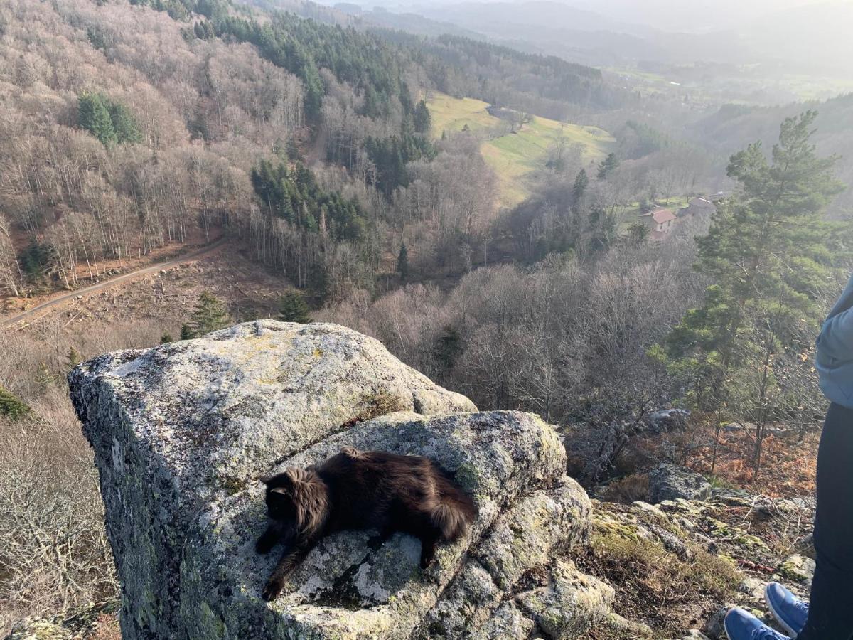 Gite " Oree Des Bois" Vertolaye Bagian luar foto