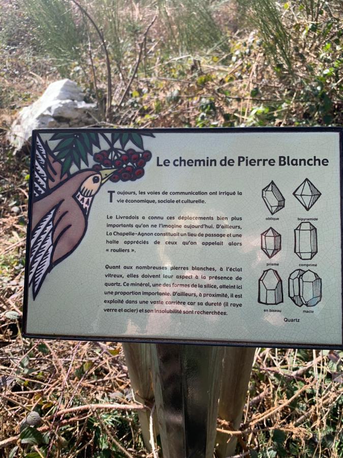 Gite " Oree Des Bois" Vertolaye Bagian luar foto
