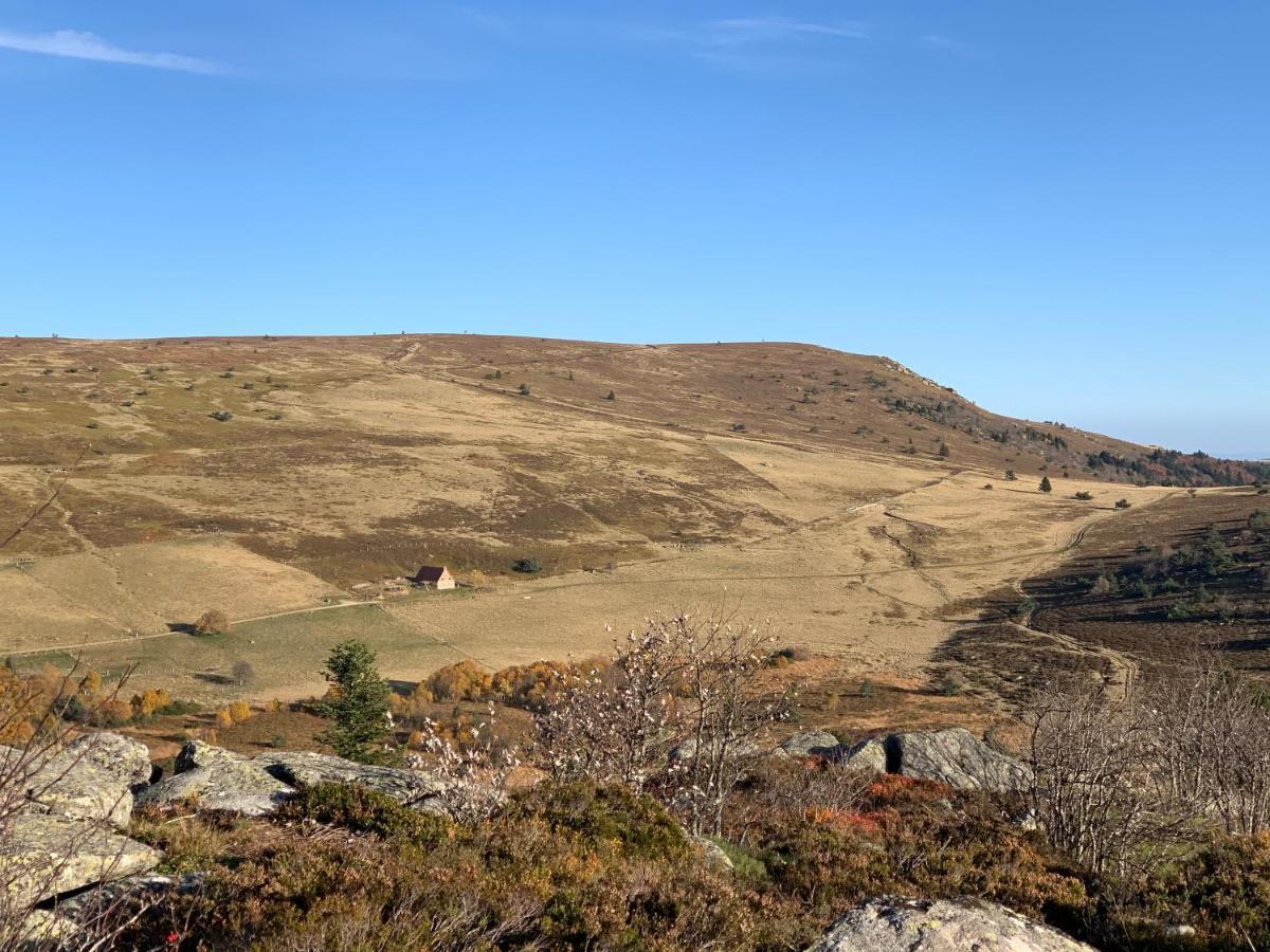 Gite " Oree Des Bois" Vertolaye Bagian luar foto