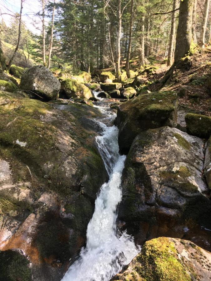 Gite " Oree Des Bois" Vertolaye Bagian luar foto