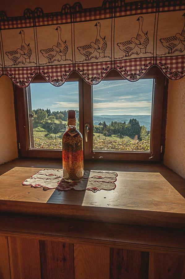 Gite " Oree Des Bois" Vertolaye Bagian luar foto