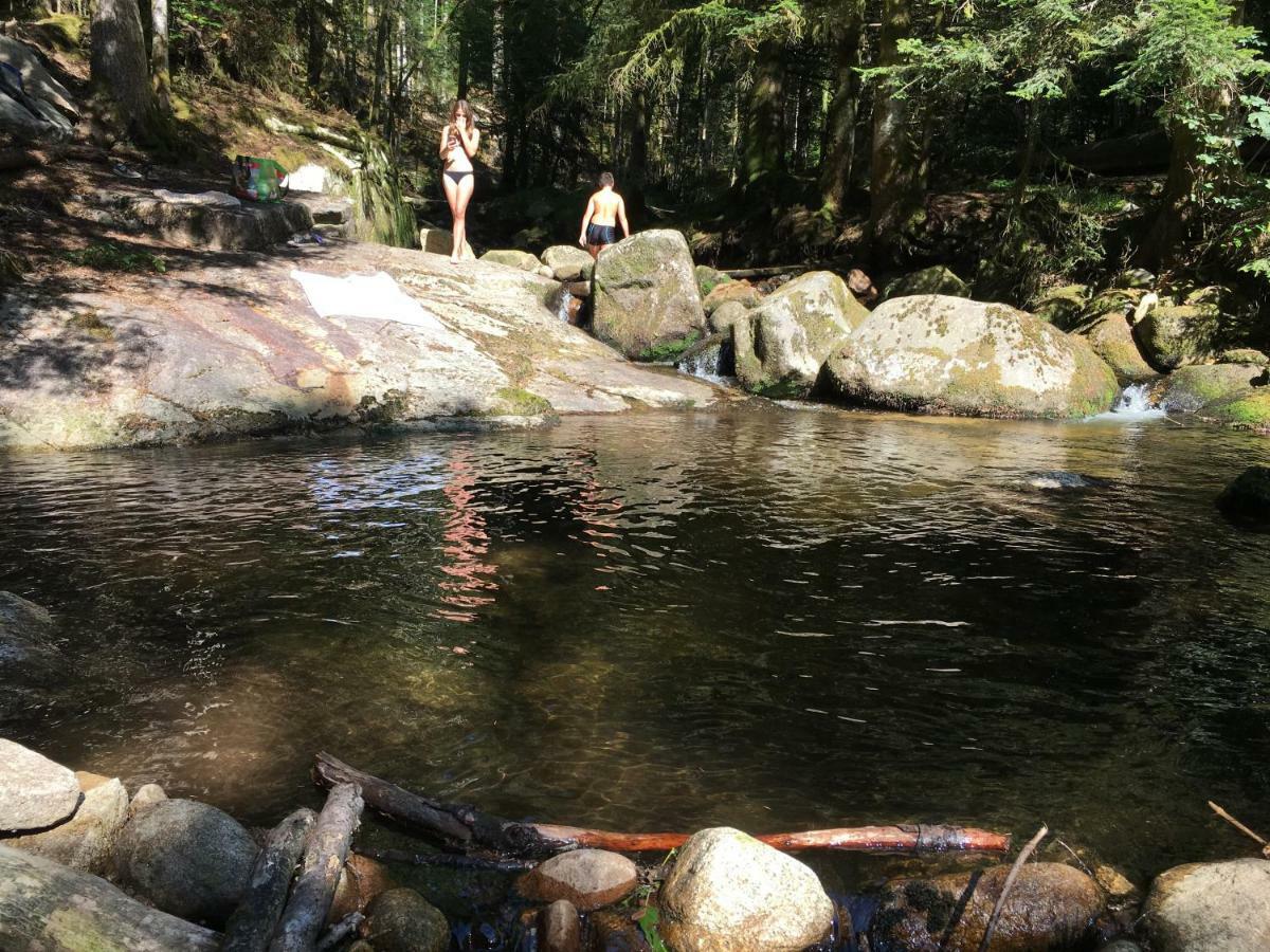 Gite " Oree Des Bois" Vertolaye Bagian luar foto