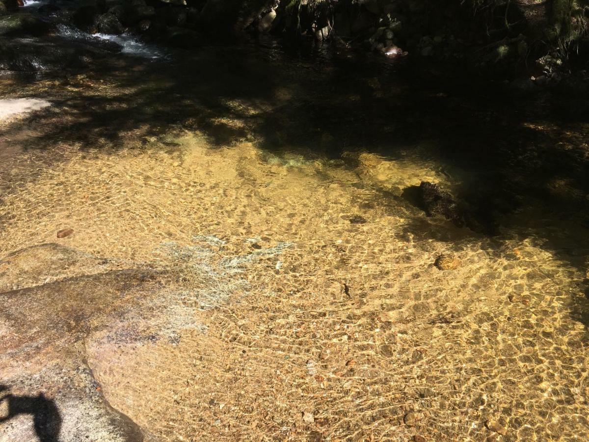 Gite " Oree Des Bois" Vertolaye Bagian luar foto